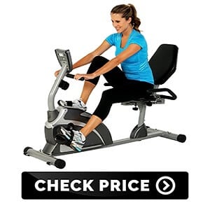  Extended Capacity Recumbent Bike