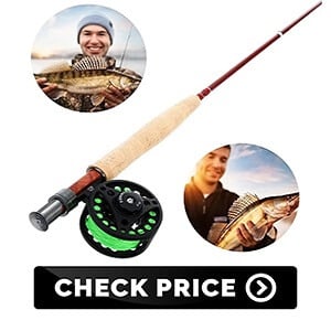 best fishing rod