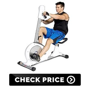 Exercise Dual Motion Recumbent Bike