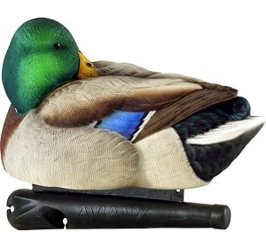 Duck Hunting Decoys