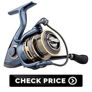 Pflueger President Spinning Reel