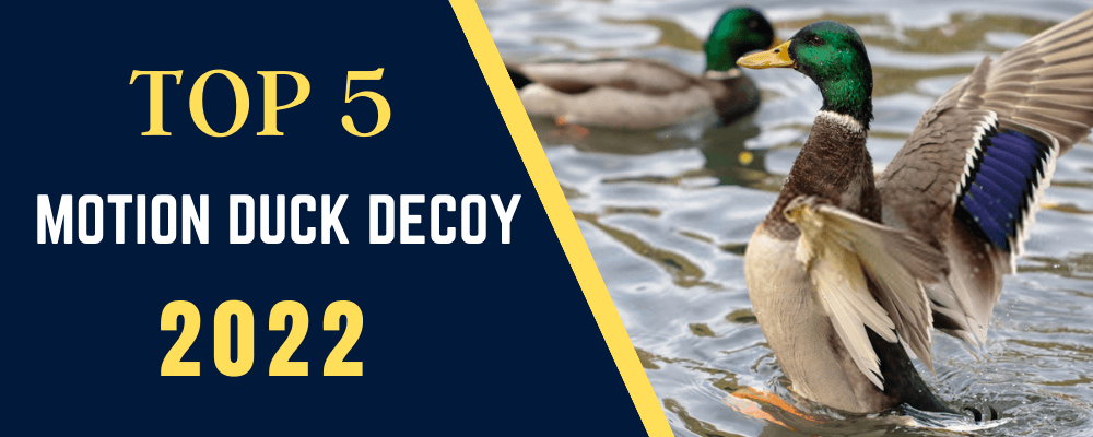 Best Motion Duck Decoy 