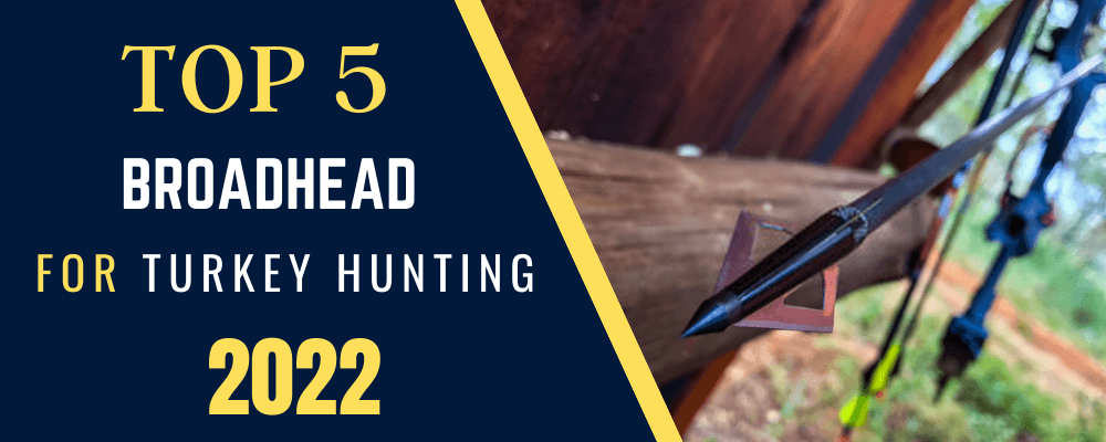 Best Broadhead For Turkey Hunting