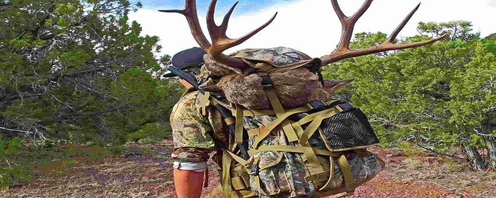 elk hunting backpack