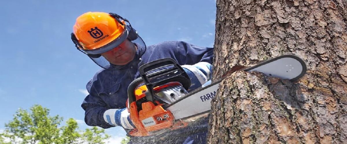Chainsaw Safety Tips